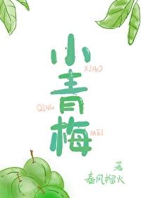 小青梅1ⅴ1h