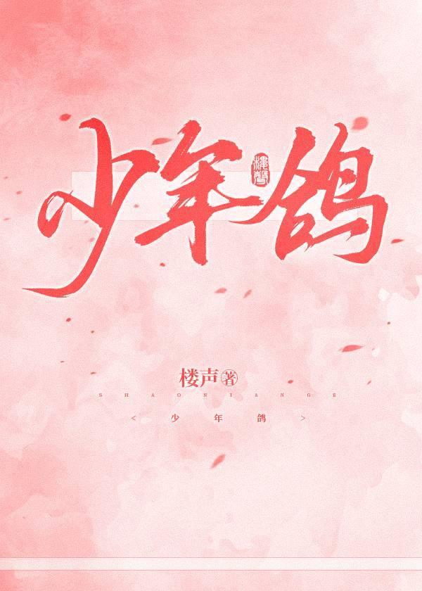 少年鸽子