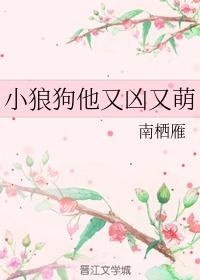 小狼狗他又凶又萌 南栖雁