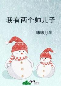 我有两个帅儿子晋江