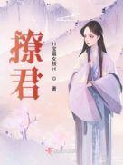 撩君宠沈青梨免费阅读