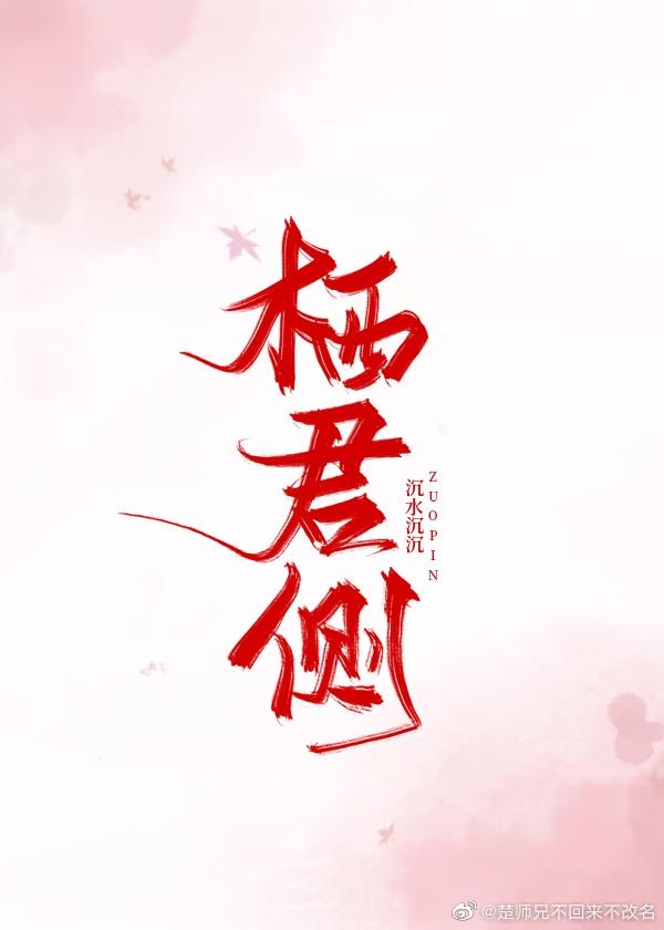 栖君侧讲的什么