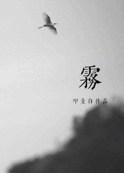 雾化器的正确使用方法