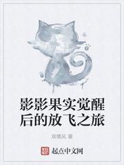 影影果实觉醒后的放飞之旅消力