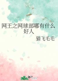 网王之网球爱好者