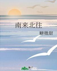 南来北往一度地是什么生肖