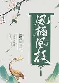 凤栖凰 什么意思