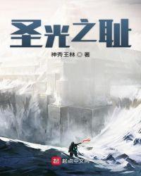 圣光之役