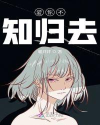 爱你不知归去是什么歌