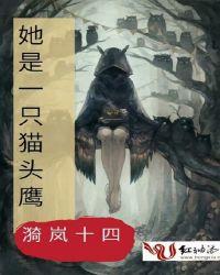 这是一只猫头鹰用英语怎么说