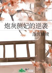 炮灰侧妃的逆袭免费阅读