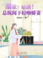 夏星辰白夜擎作者是谁