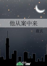 从案犯是什么意思