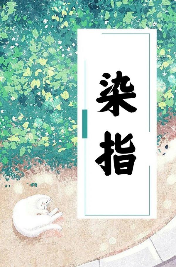 染指免费阅读txt宁枳