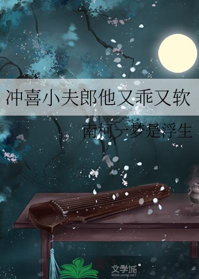 冲喜小夫郎作者春汉
