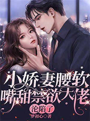 娇养小甜妻老公求抱抱免费