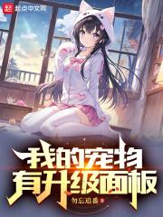 我的宠物有升级面板笔趣阁手机版