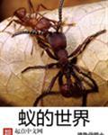 蚁的世界全文免费TXT