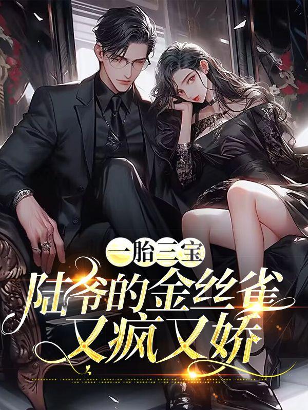 一胎三宝陆少前妻过分迷人