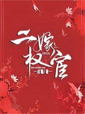 二嫁权宦大结局