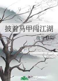 披着马甲搞革命