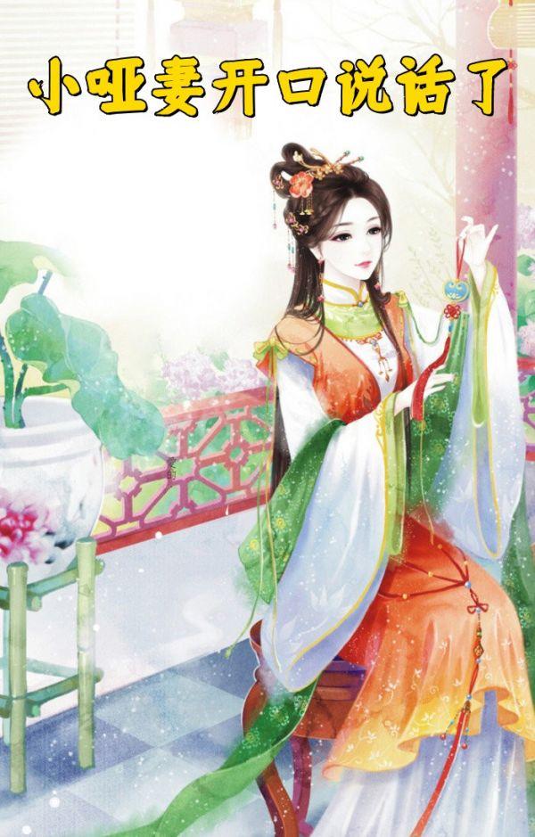 小哑妻电视剧