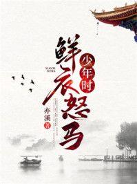 鲜衣怒马少年时书