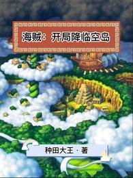 海贼开局降临空岛txt全本