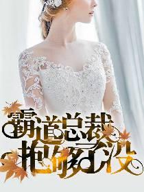 霸道总裁求抱抱小