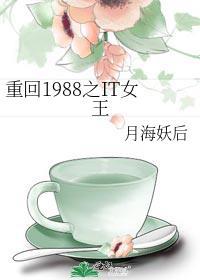 重回1988之it女王月海