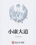 小康大道电视剧