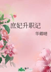 庶妃升职记TXT免费全本