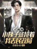 陆战北林晓晚