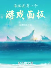海贼我加载了游戏面板