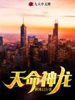 林寒主角的