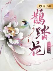 鹊踏花翻美人解