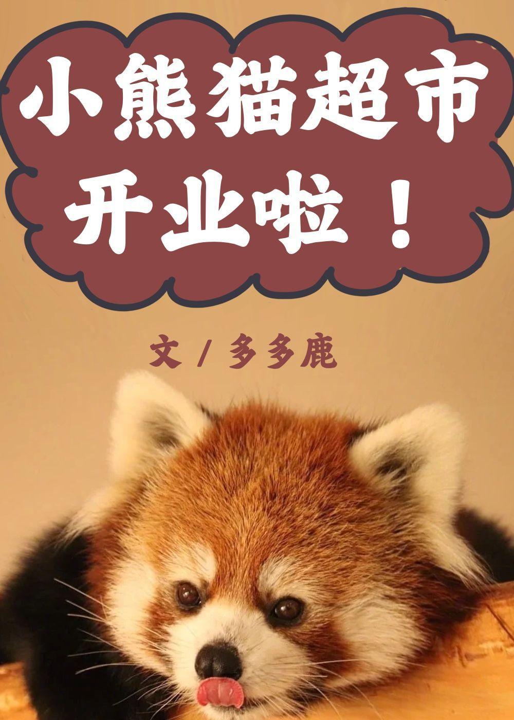 小熊猫超市开业啦!夏夏