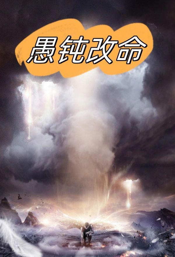 愚钝还是愚钝
