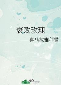 衰败玫瑰逻辑挖煤猫