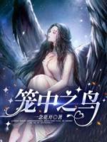 向阳全文免费阅读