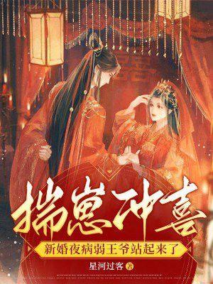 揣崽就不能离婚吗重生