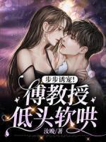 男主傅逸寒女主黎晚的