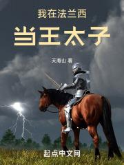 我在法兰西当王太子百度