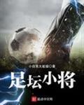 足球小将排名