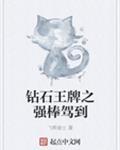 钻石王牌之强棒驾到笔趣阁