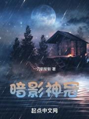 暗影特工原神
