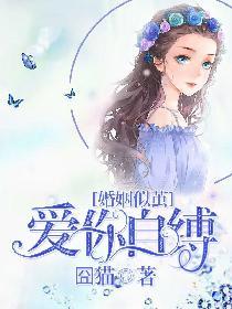 婚姻如妻而至