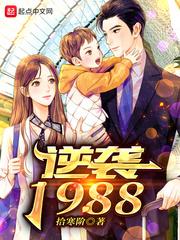 逆袭1988 拾寒阶