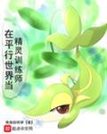 黑暗物质平行世界的精灵
