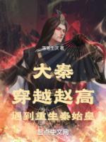 赵高秦始皇大王